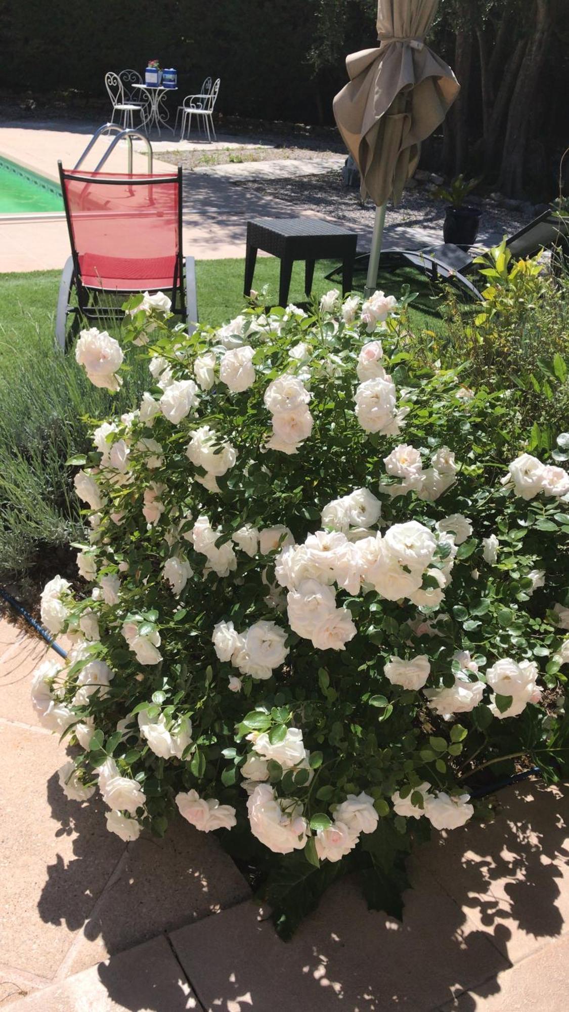 Отель Le Patio Fleuri Лорг Экстерьер фото